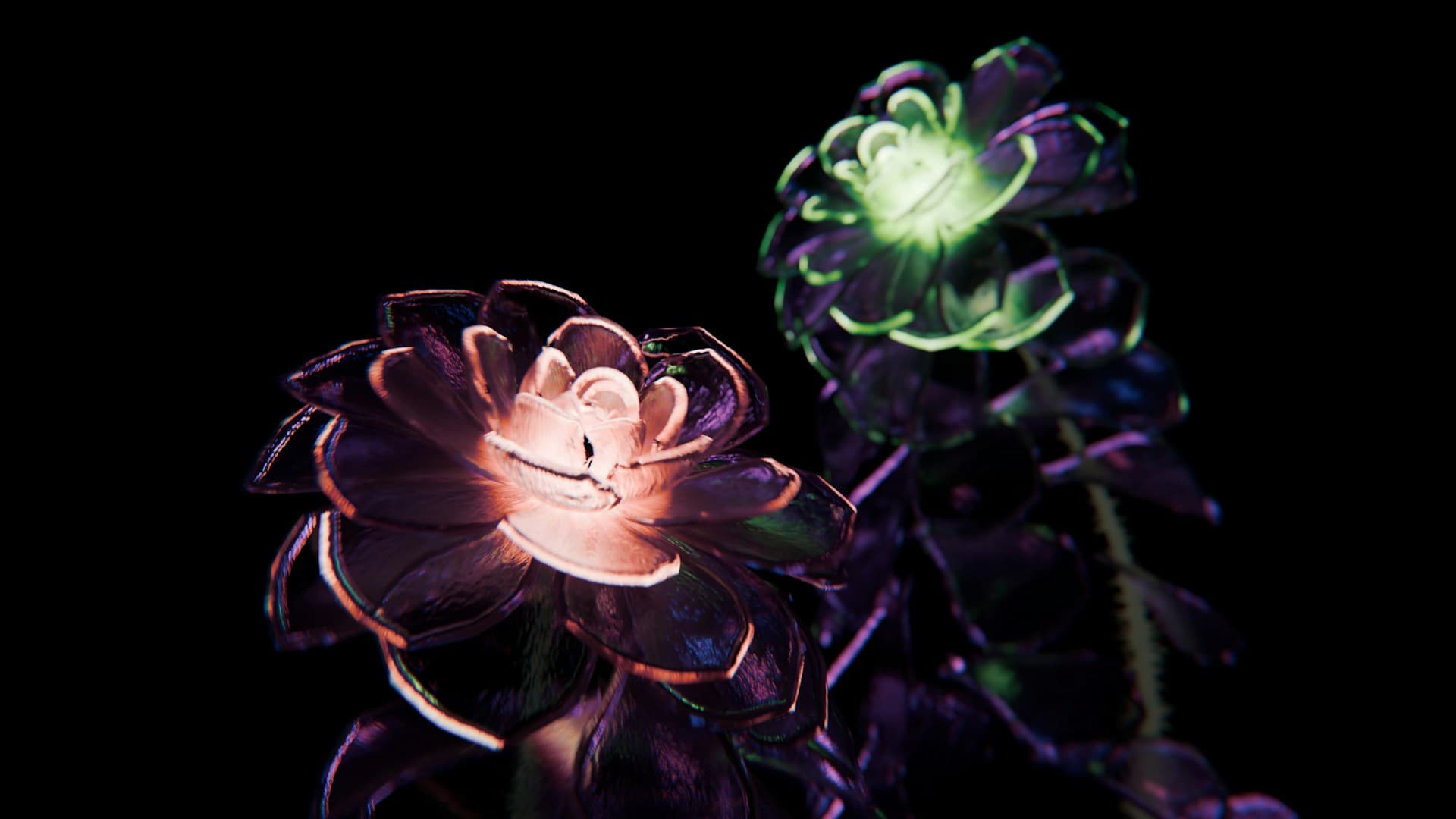 Bioluminescent flowers with glowing pink and green centers on a black background